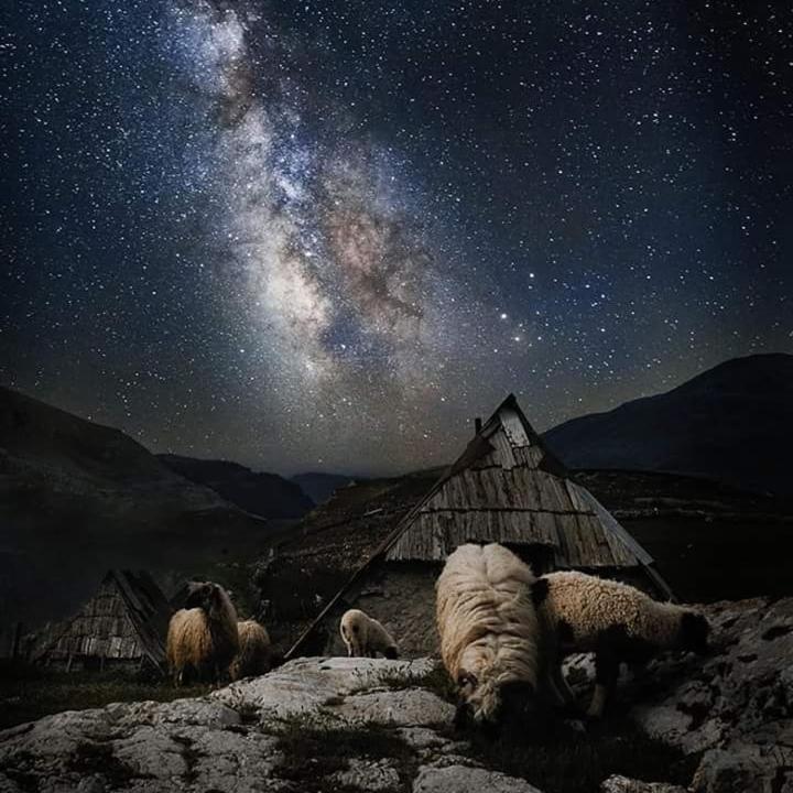 Guesthouse Letnja Basta Gornji Lukomir Dış mekan fotoğraf