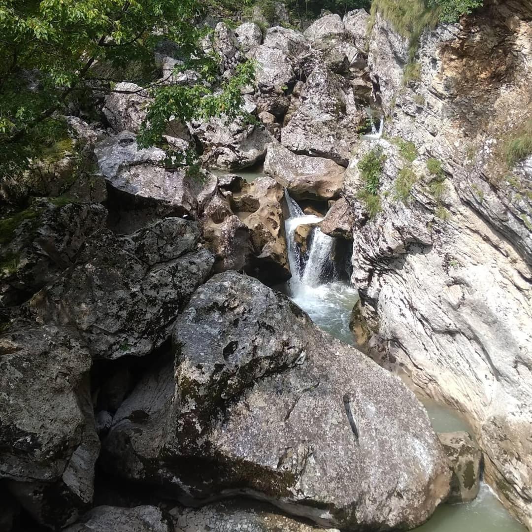 Guesthouse Letnja Basta Gornji Lukomir Dış mekan fotoğraf